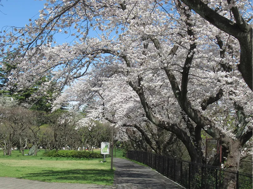 神奈川県立保土ケ谷公園