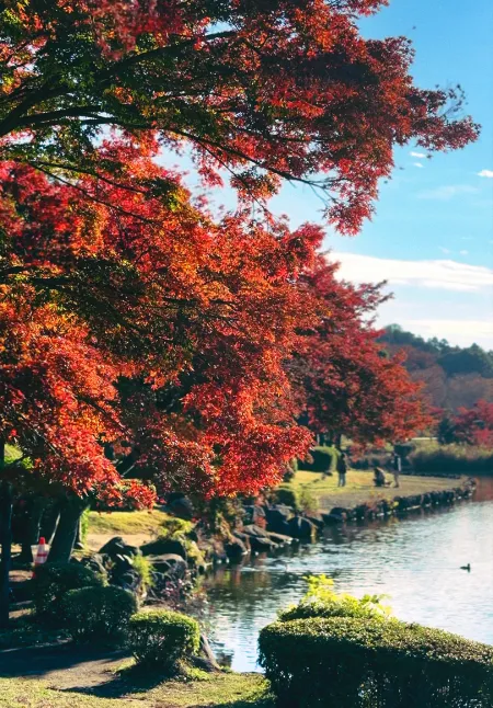 こども自然公園