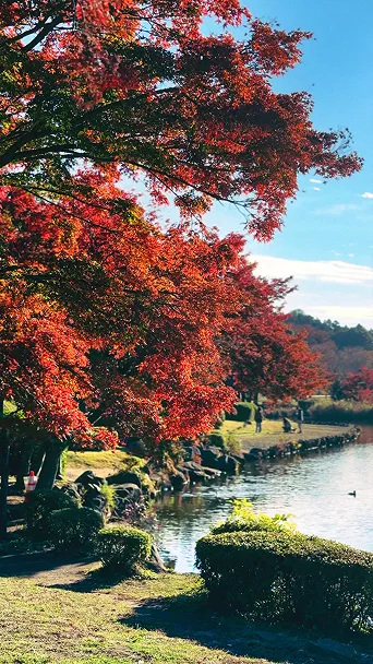 こども自然公園
