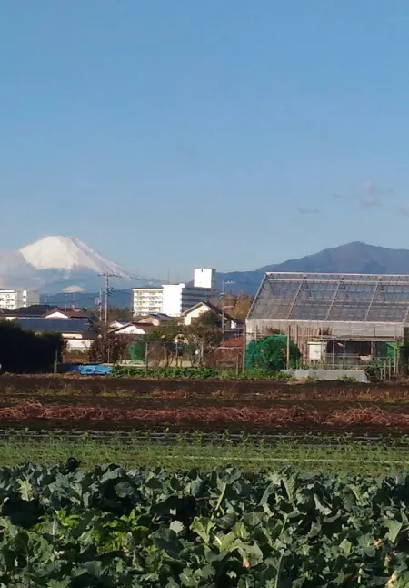 いずみ野線沿線の農地